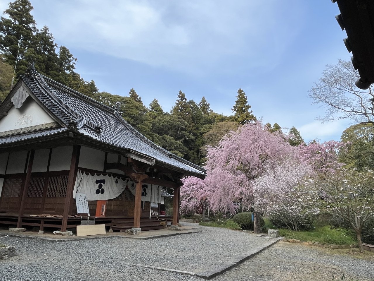 🌸 벚꽃산 난바라지(사쿠라야마 난바라지) 이미지 1